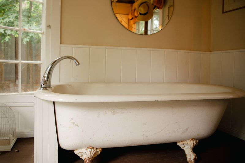 Vintage Bathtub Setup
